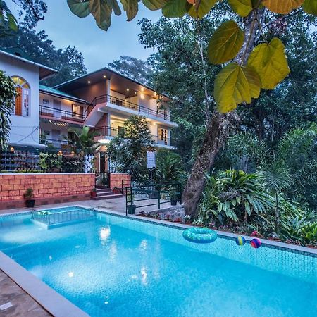 Spice Jungle Resort Munnar Kültér fotó