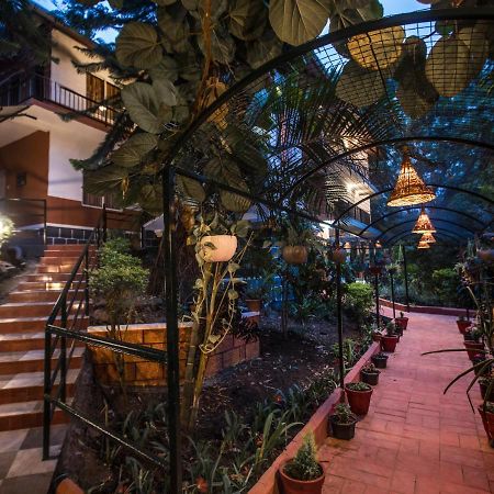 Spice Jungle Resort Munnar Kültér fotó