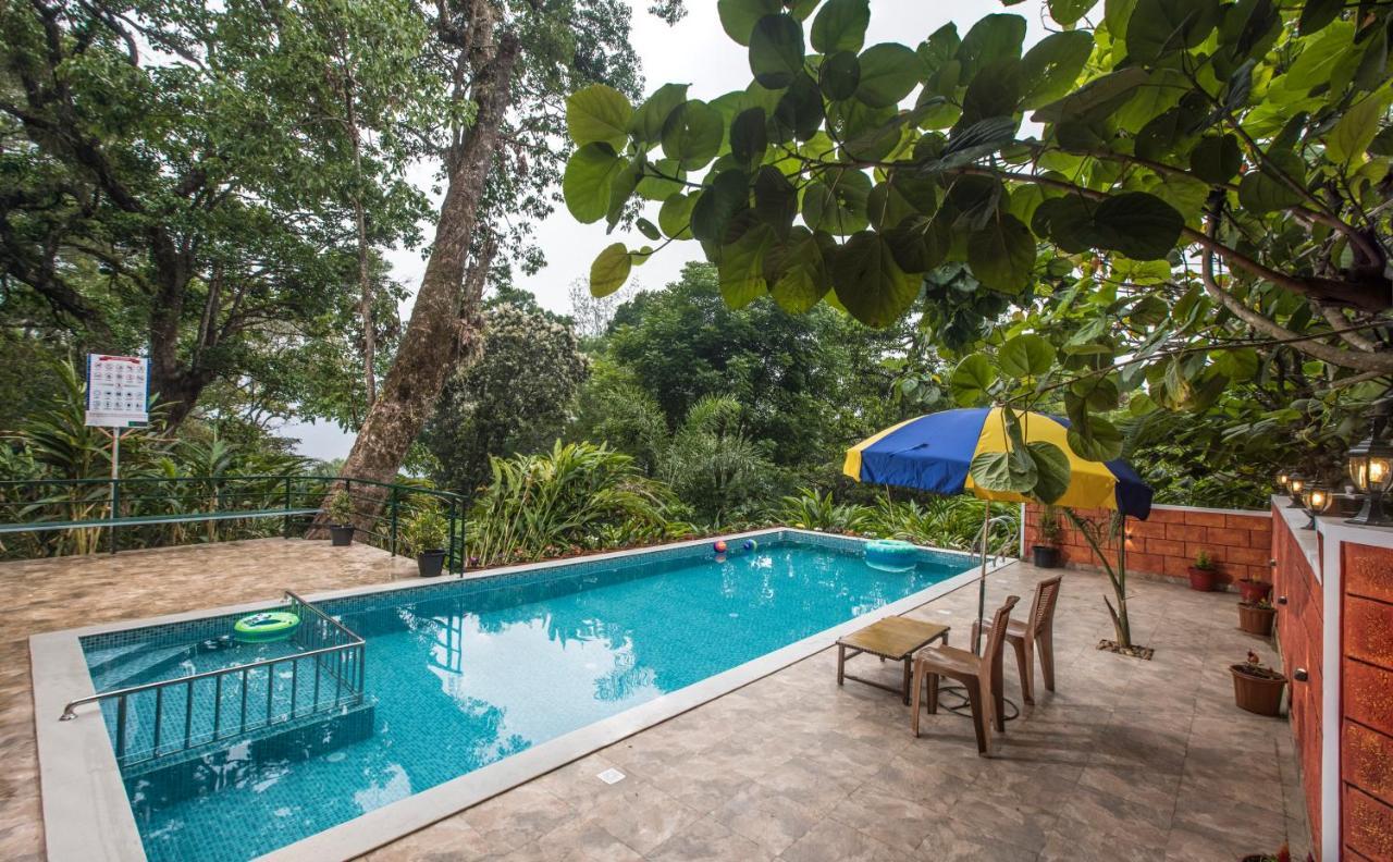 Spice Jungle Resort Munnar Kültér fotó