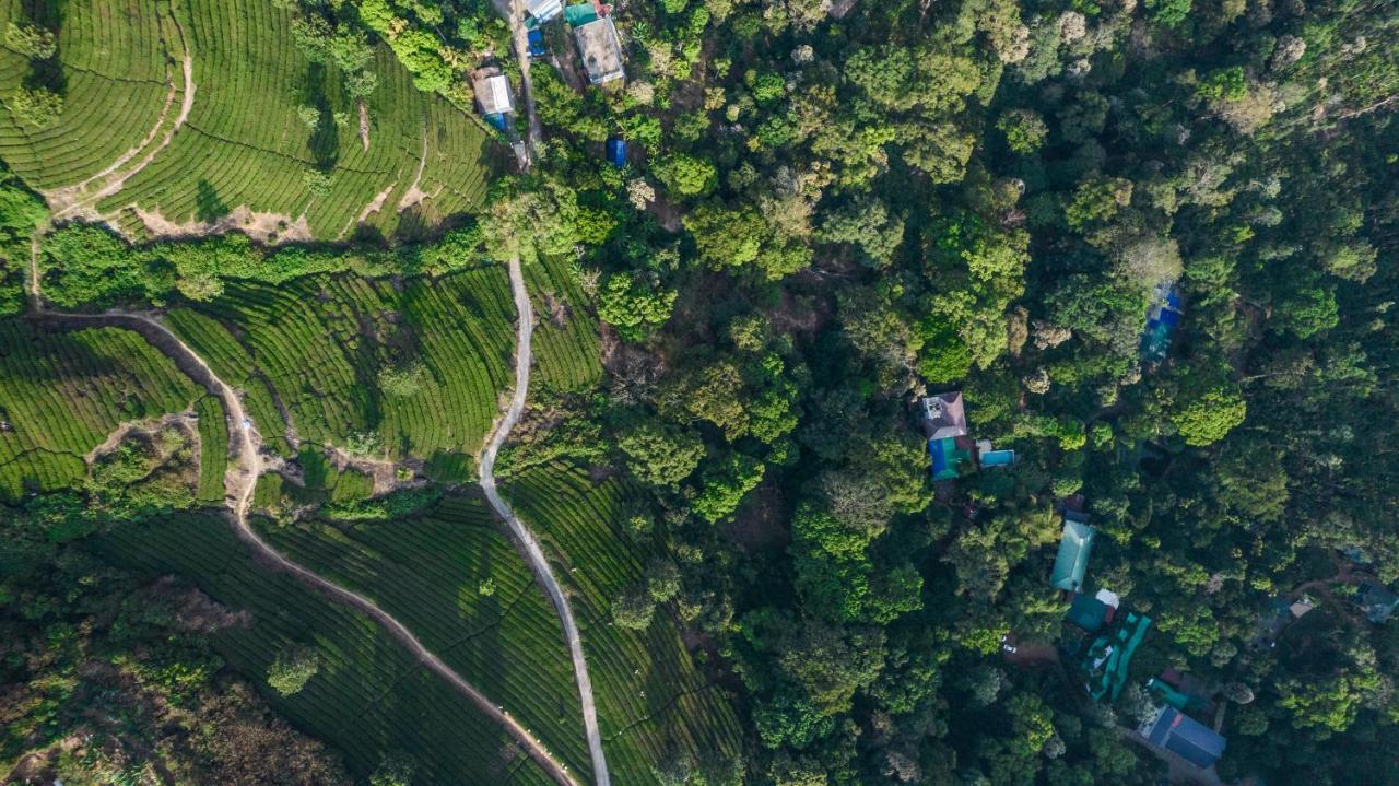 Spice Jungle Resort Munnar Kültér fotó