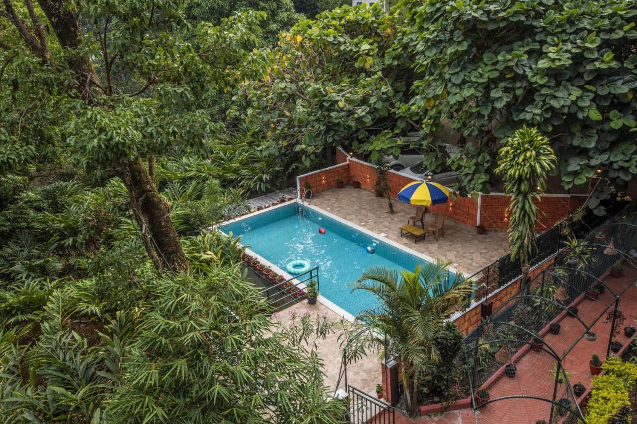 Spice Jungle Resort Munnar Kültér fotó
